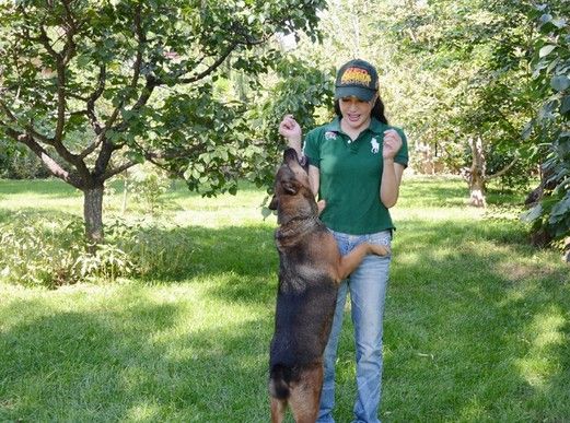 演員劉曉慶有孩子嗎 劉曉慶被萌狗撲身失色