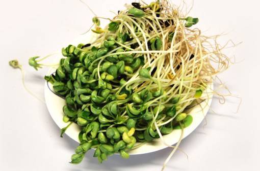 2017單品盛宴 時尚喇叭袖正式回歸