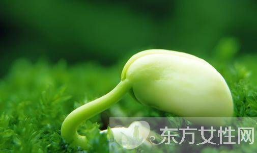 2017單品盛宴 時尚喇叭袖正式回歸