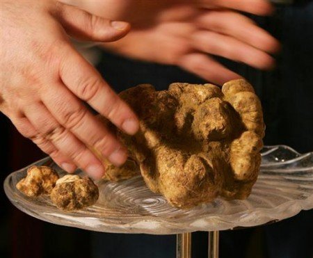 奢侈品洛世奇水晶緊身連衣裙 你肯為她買單嗎