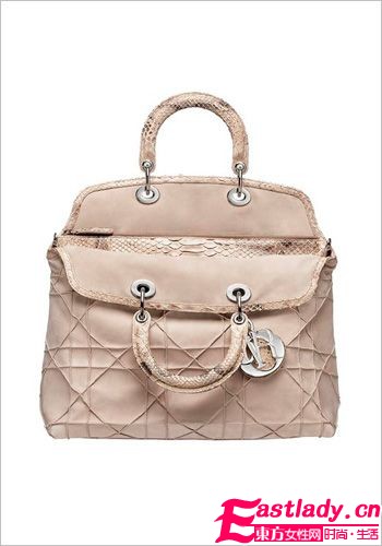 Christian Dior手袋 明星秋冬必備