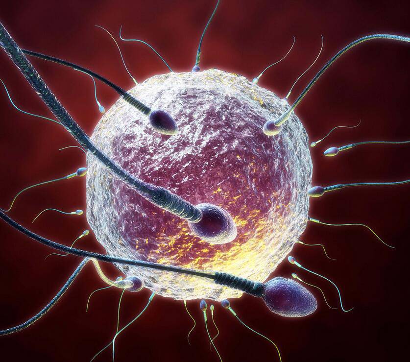 最佳受孕姿勢真人教學(xué) 這么做最容易懷上寶寶