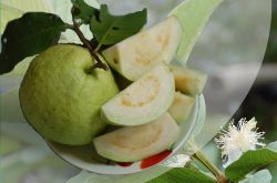 孕婦可以吃番石榴嗎 推薦適合孕婦吃的7種水果