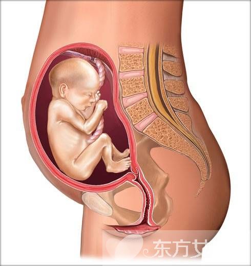 胎兒發(fā)育遲緩的原因 胎兒宮內(nèi)發(fā)育遲緩的危害