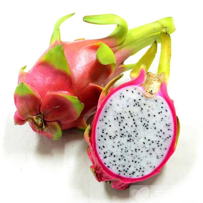 孕婦可以吃火龍果嗎 孕婦吃火龍果要注意哪些方面