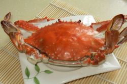 懷孕初期不能吃什么 孕初期吃什么可以保胎