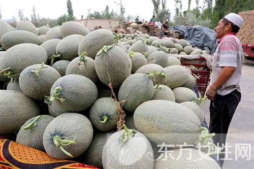 孕婦可以吃哈密瓜嗎 孕婦吃哈密瓜的注意事項(xiàng)