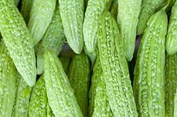 孕婦可以吃苦瓜嗎 孕婦吃苦瓜的壞處有哪些