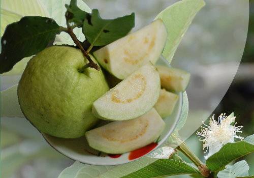 孕婦可以吃番石榴嗎 推薦適合孕婦吃的7種水果