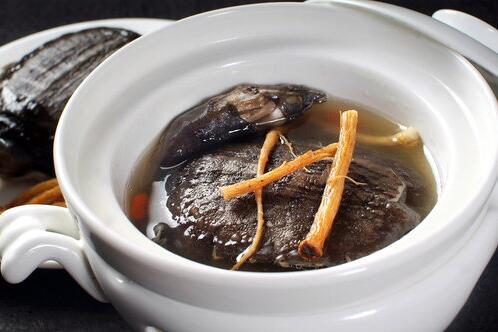 孕婦能吃鱉嗎 鱉有哪些營(yíng)養(yǎng)價(jià)值