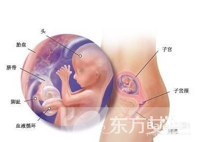 宮外孕手術(shù)多少錢 宮外孕的早期癥狀