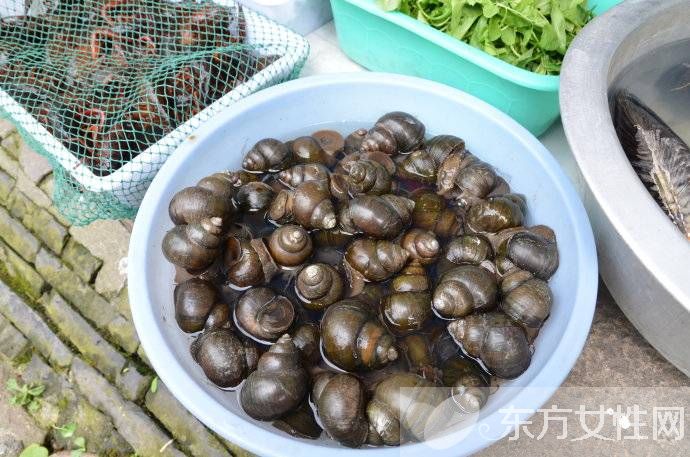 孕婦可以吃田螺嗎  這17種東西孕婦千萬別碰