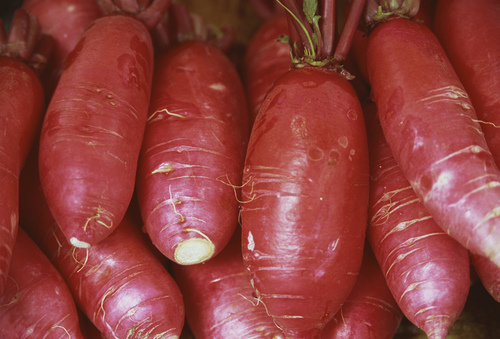感冒咳嗽吃什么食物好 十款速效食療方見效快