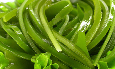 剛懷孕吃什么好 10種食物有助胎兒發(fā)育