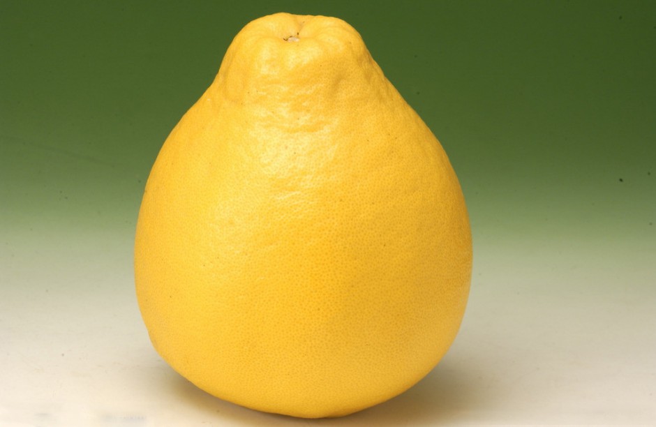 孕婦吃柚子好嗎 孕婦吃柚子有什么好處