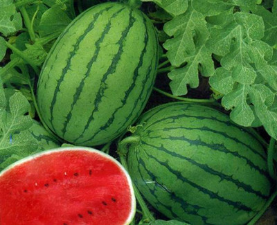 孕婦不能吃什么水果 這些懷孕飲食禁忌要知道