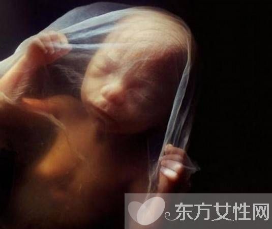 胎兒多少周入盆 胎兒臍帶繞頸應這樣做