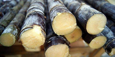 孕婦不能吃什么水果 這些懷孕飲食禁忌要知道