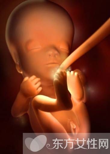 科普知識(shí)36周胎兒發(fā)育情況 胎兒發(fā)育標(biāo)準(zhǔn)指標(biāo)