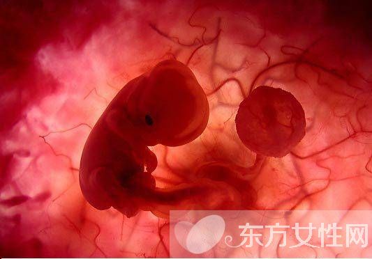 臍帶血有必要保存嗎 臍帶血別扔可以救命的