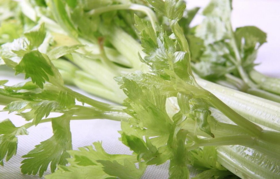 春季寶寶需要補充的營養(yǎng)素有哪些