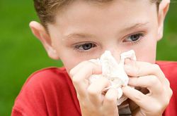 寶寶流鼻血要警惕 可能是白血病惹的禍