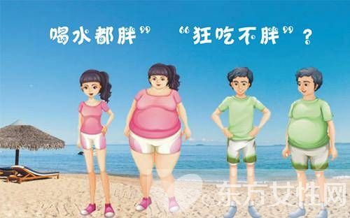 易胖體質(zhì)怎么減肥 這6種方法99%人不知道