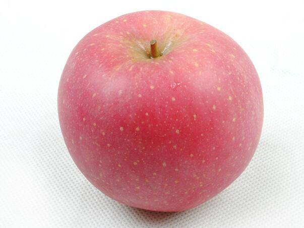 蘋果能減肥 揭蘋果減肥的正確方法