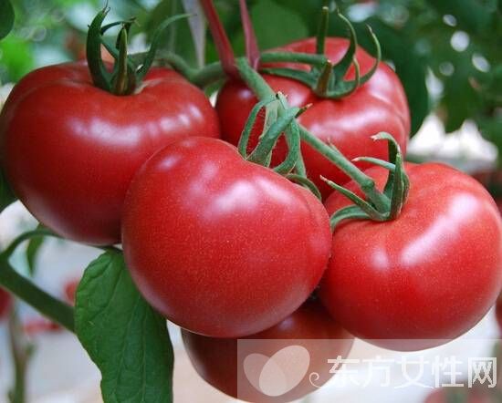 如何快速減肥瘦身 吃這水果減肥最快