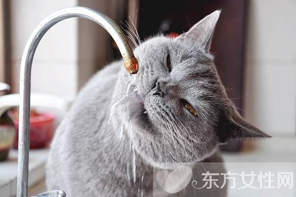 喝水減肥法最佳時間表 不用節(jié)食也能瘦出好身材