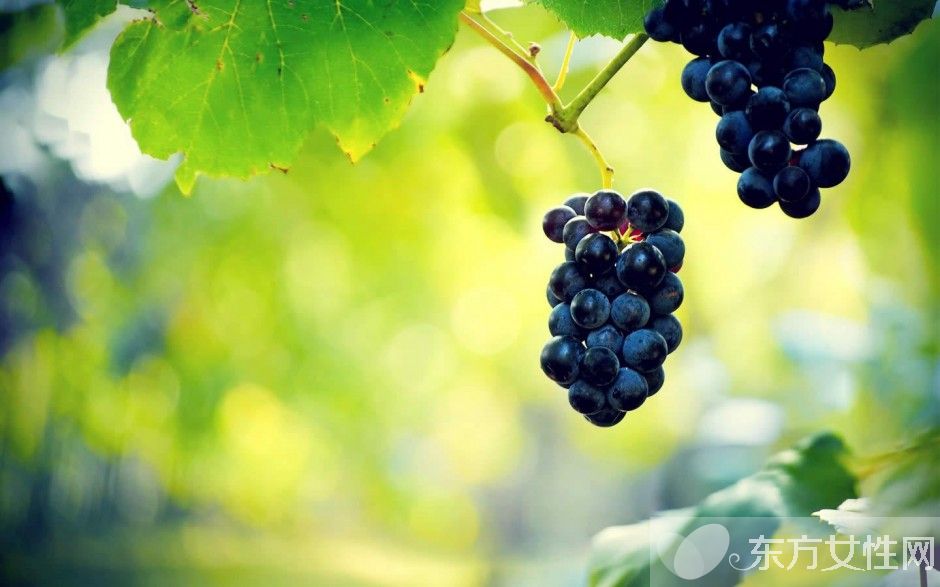 怎么樣快速減肥 三大減肥法打造惹火身材