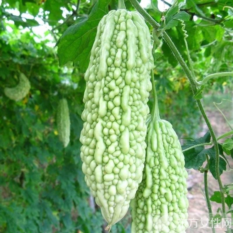 怎么樣快速減肥 三大減肥法打造惹火身材