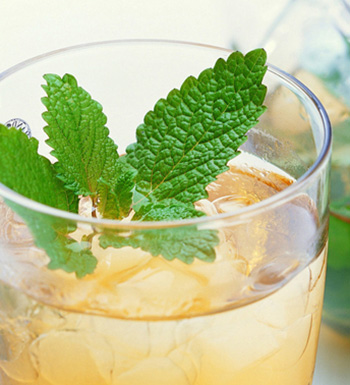 健康減肥 四款能快速減肥的良茶