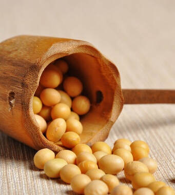 怎么減肥 教你8個(gè)飲食減肥妙招