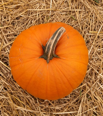 怎么減肥 教你8個(gè)飲食減肥妙招