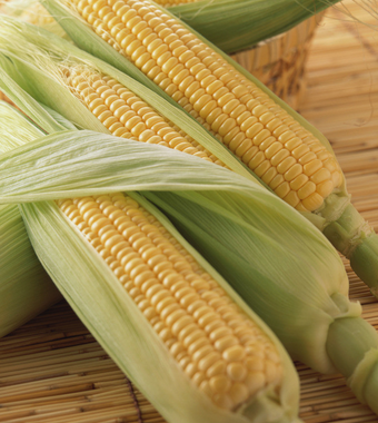 吃什么減肥 推薦12種高飽腹感的健康美食