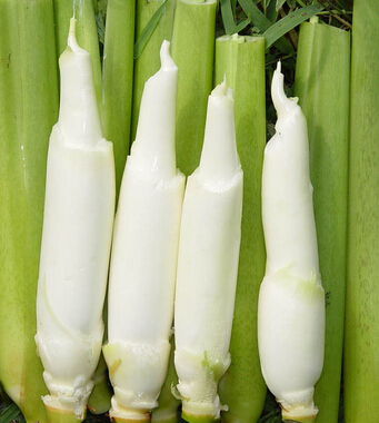 喝什么茶減肥 4款減肥茶 喝 掉多余贅肉