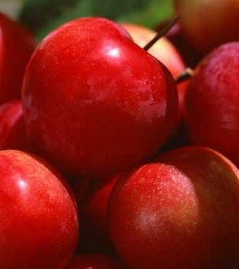 瘦身減肥方法 二十種世界公認(rèn)減肥食品