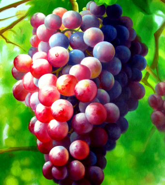 減肥食物 女性多吃13種減肥食物消脂又排毒