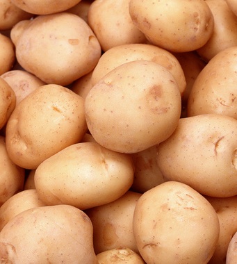 如何快速減肥瘦身 八個減肥瘦身公式推薦