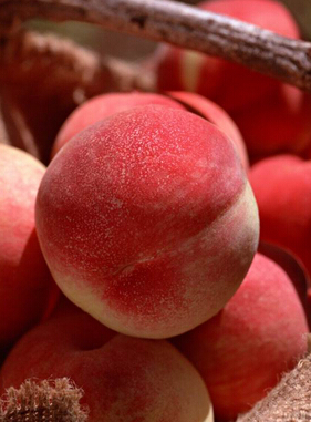 如何利用經(jīng)期減肥 經(jīng)期減肥注意事項