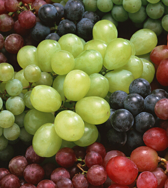 吃什么水果減肥最快 5大技巧讓你拒絕脂肪