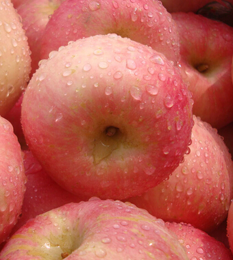 吃什么水果減肥最快 怎么吃水果減肥