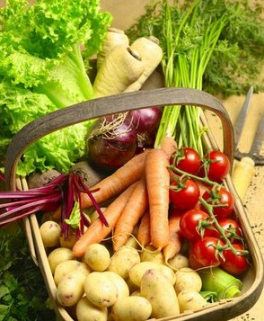 針灸減肥食譜 高蛋白低脂低糖