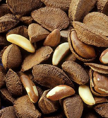 減肥吃什么最好 盤點(diǎn)11種超贊刮油食物