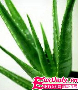 5款美味食譜助你清腸瘦身