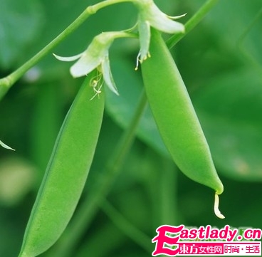 讓減肥失敗蔬菜水果大全