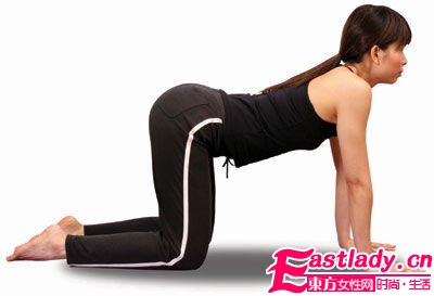 貓式瑜珈減肥 修煉優(yōu)雅姿勢(shì)