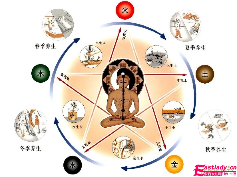 中醫(yī)藥減肥方法有哪些