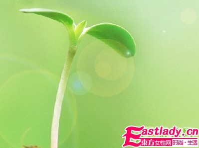 春季如何減肥瘦身最有效